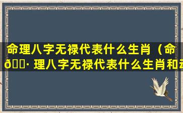 命理八字无禄代表什么生肖（命 🕷 理八字无禄代表什么生肖和动物）